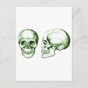 Skullet Vykort