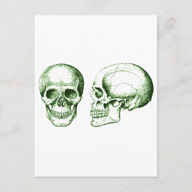 Skullet Vykort (Framsida)