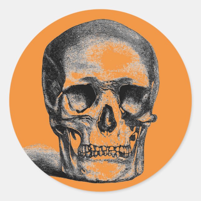 Skullrunda etiketter (Framsida)