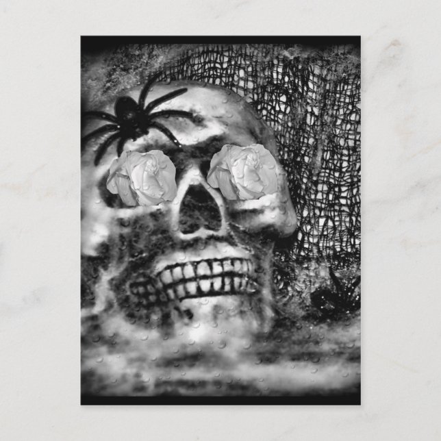 Skullspider och Ro-2012 Vykort (Framsida)