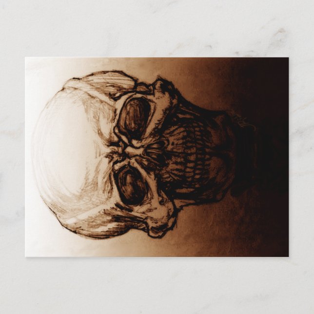 Skullstudie Vykort (Framsida)