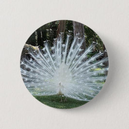 Skully bästa roligt knapp