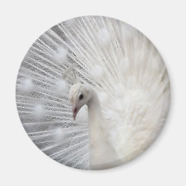 Skully Top Roligt Magnet