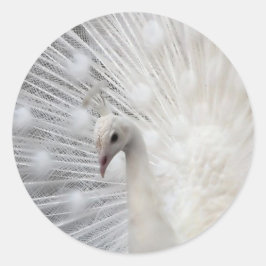 Skully Top Roligt Runt Klistermärke