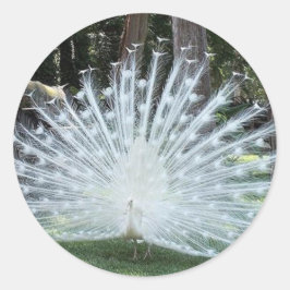 Skully Top Roligt Runt Klistermärke