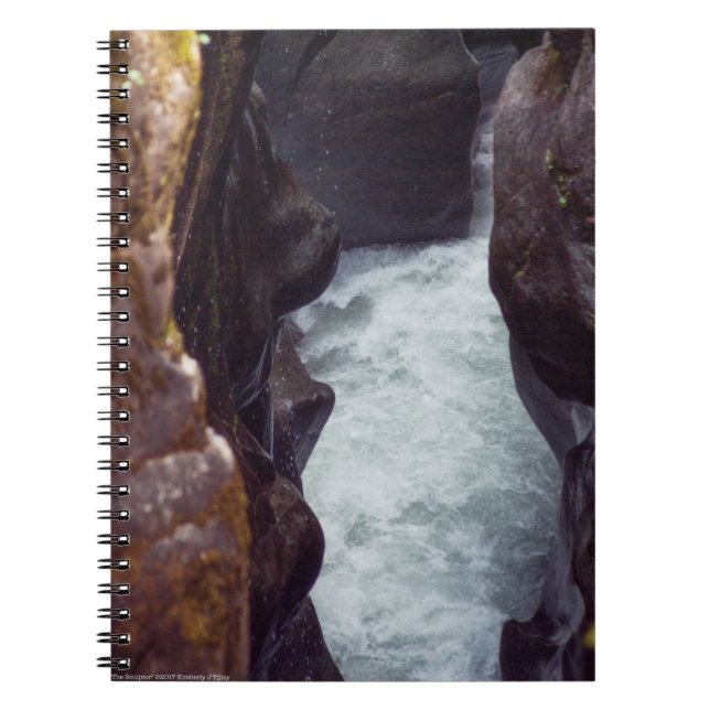 Skulptorn Anteckningsbok Med Spiral (Framsidan)