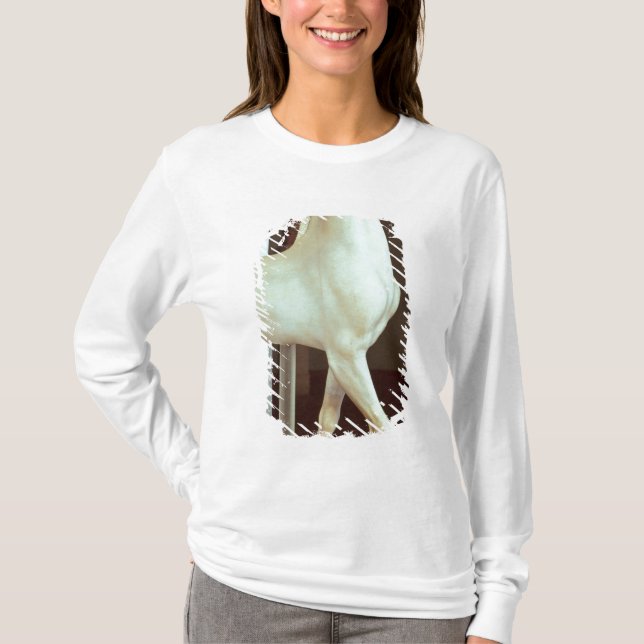 Skulptur av en häst, c.500 BC Tee (Framsida)