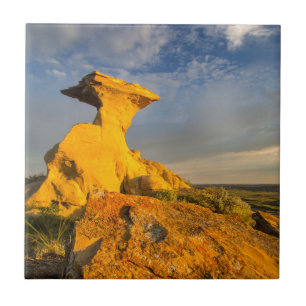 Skulpturerad Badlandsformation i kort gräs Kakelplatta