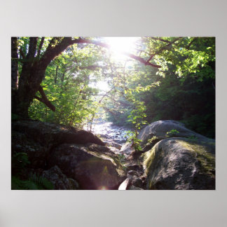 Skulpturerad Sten Poster