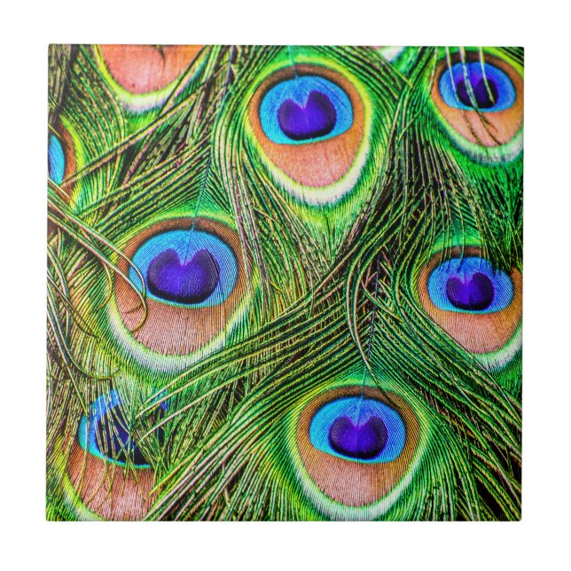 Skumrande Peacock Feathers Kakelplatta (Framsidan)