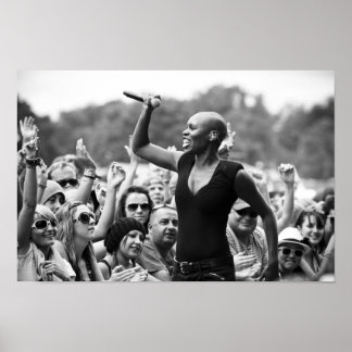 Skunk Anansie vid V Poster