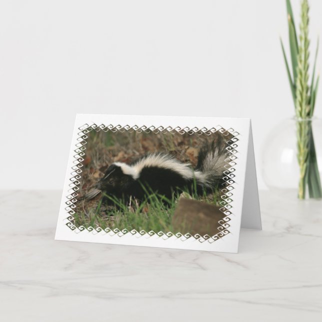 Skunk Behavior Greeting Card Kort (Framsida)