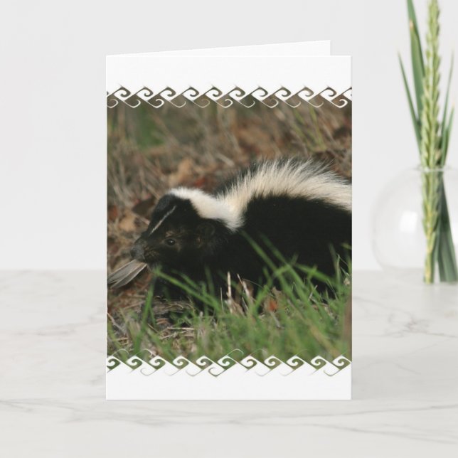 Skunk Behavior Greeting Card Kort (Framsida)