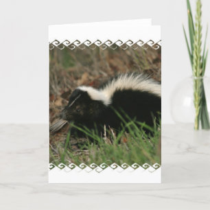 Skunk Behavior Greeting Card Kort