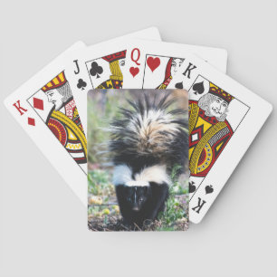 Skunk Black and White Casinokort