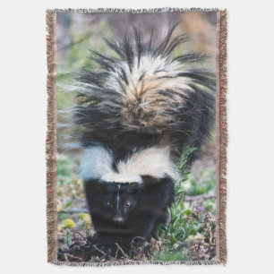 Skunk Black and White Filt