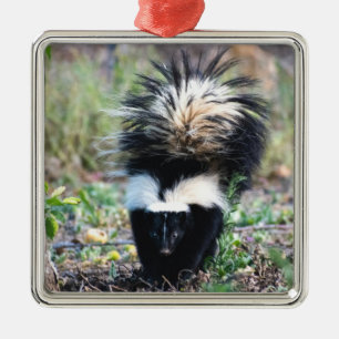 Skunk Black and White Julgransprydnad Metall