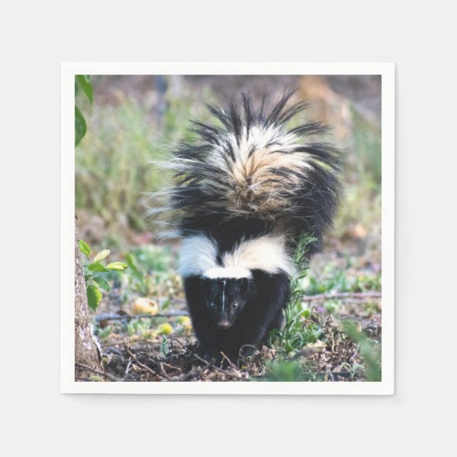 Skunk Black and White Pappersservett (Framsidan)