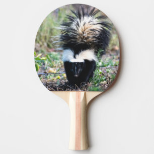Skunk Black and White Pingisracket