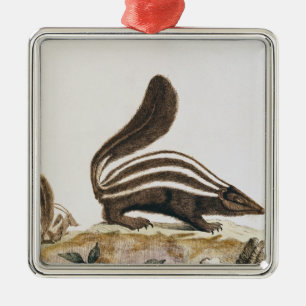 Skunk från "Histoire Naturelle" by Julgransprydnad Metall