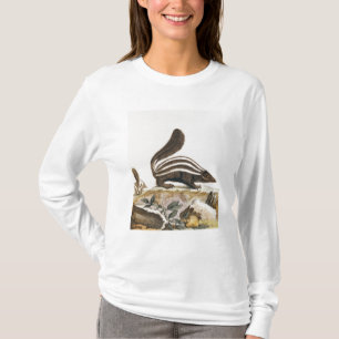 Skunk från "Histoire Naturelle" by T Shirt