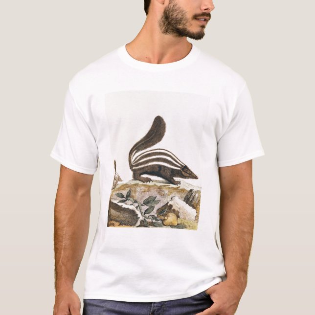 Skunk från "Histoire Naturelle" by Tee Shirt (Framsida)