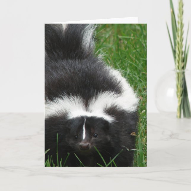 Skunk-gratulationskort Kort (Framsida)