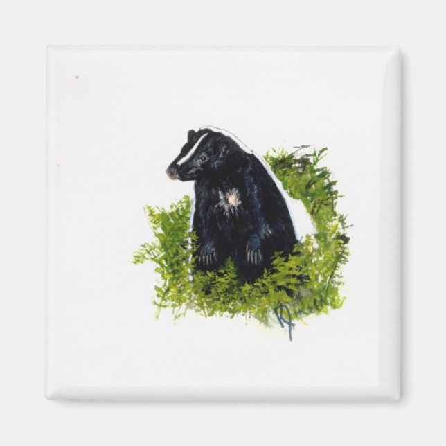 Skunk Magnet (Framsidan)