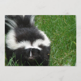 Skunk om en inbjudan