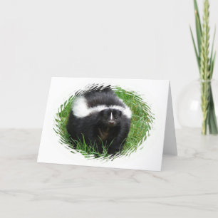 Skunk Photo Greeting Card Kort