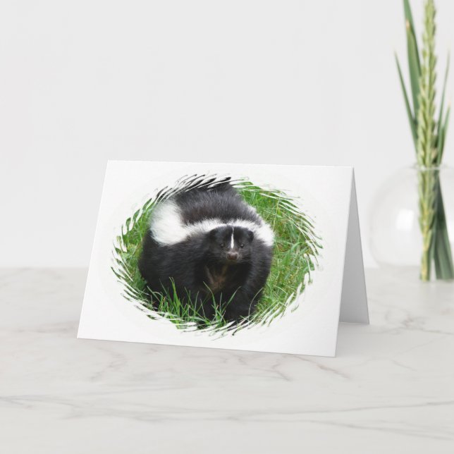 Skunk Photo Greeting Card Kort (Framsida)