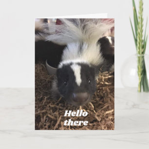 **SKUNK SAYS GRATTIS PÅ FÖDELSEDAGEN** KORT