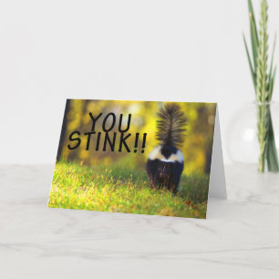 Skunk som du stinker kort