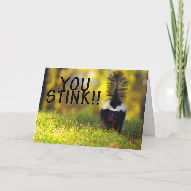 Skunk som du stinker kort (Framsida)