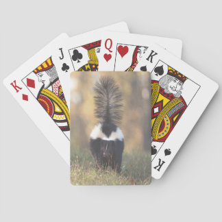 Skunk Spel Kort