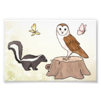 Skunk und Eule Fotodruck