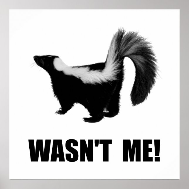 Skunk Wans't Me Poster (Framsidan)