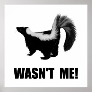 Skunk Wasn? t mig Poster
