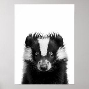 Skunk Woodland Modern Porträtt svart vitt Poster