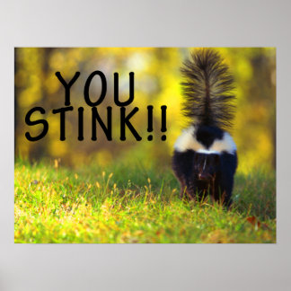 Skunk You Stink Poster