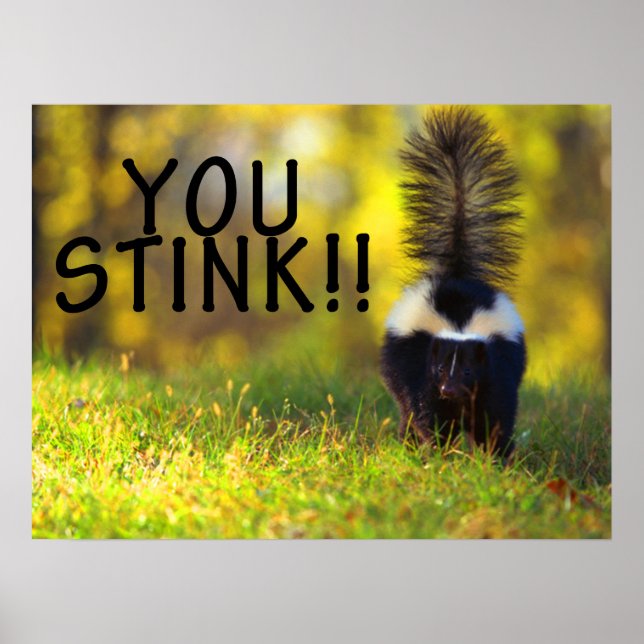 Skunk You Stink Poster (Framsidan)