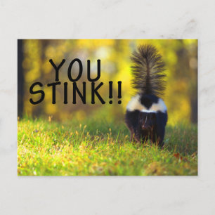 Skunk You Stink Vykort