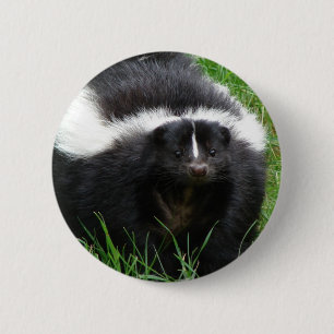 Skunkfotorundan knäppas knapp