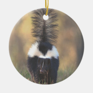 Skunkprydnad Julgransprydnad Keramik