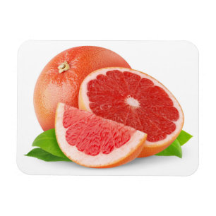 Skuren grapefrukt magnet