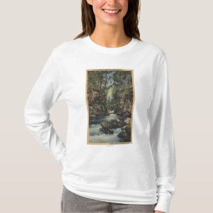 Skurk- flod, Oregon - övreklyftan beskådar av T Shirt