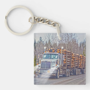 Skurkrolltransport som loggar lastbilen och