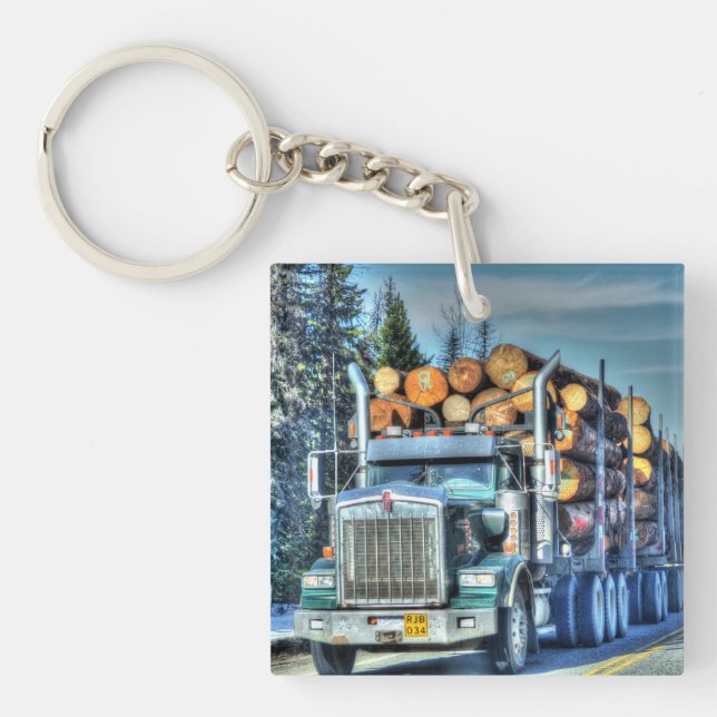 Skurkrolltransport som loggar lastbilkonst för (Framsidan)