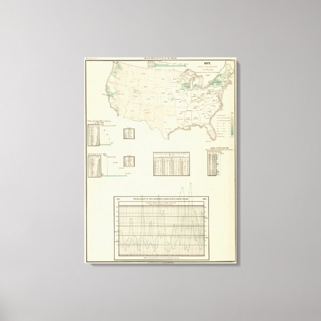 Skutt Canvastryck (Framsida)