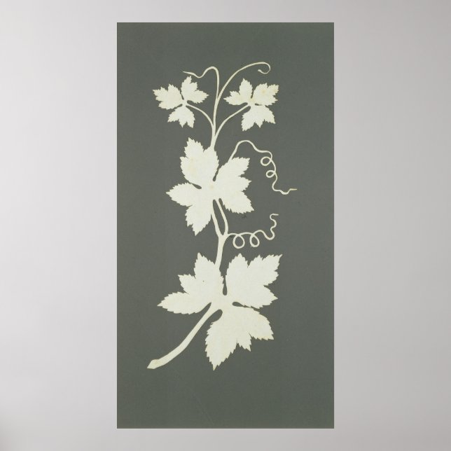 Skutt Poster (Framsidan)